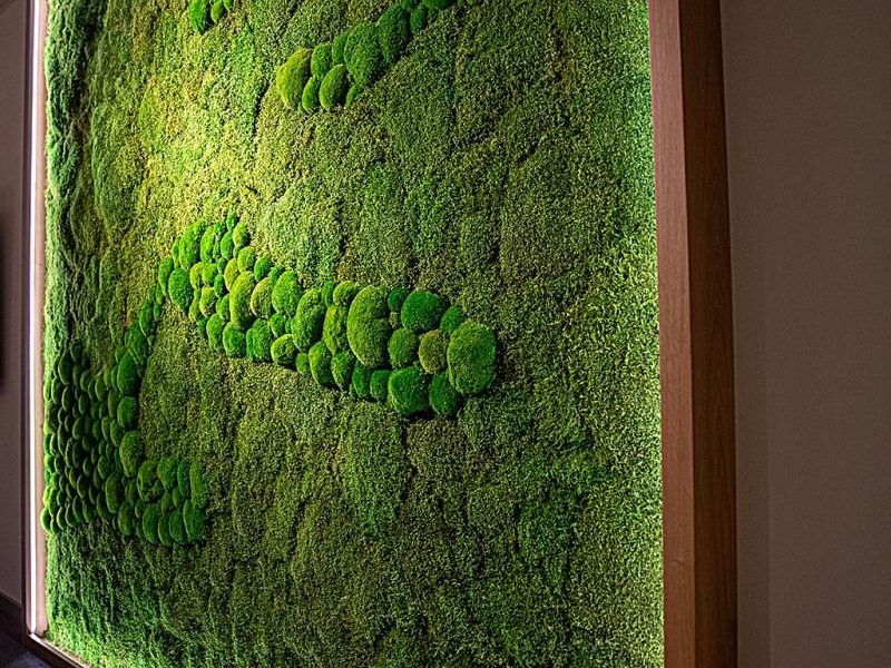 moss